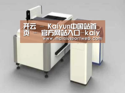 产品名称十五
