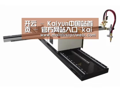 案例展示一