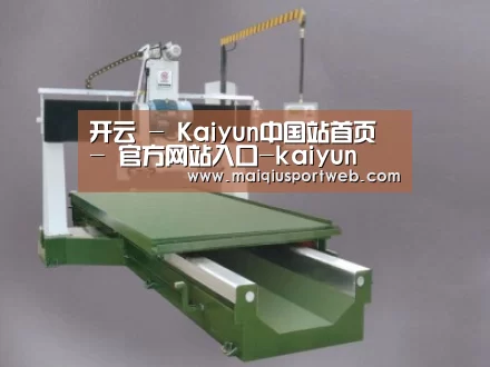 产品名称九