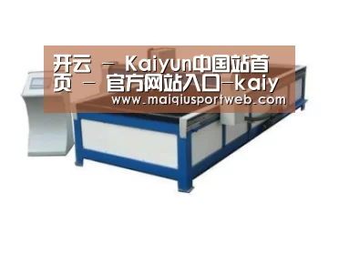 产品名称九
