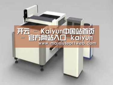 产品名称十三