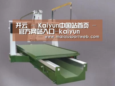 产品名称十