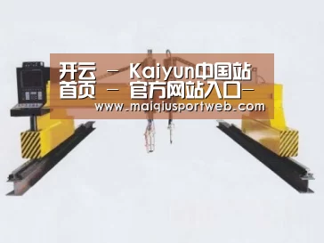 产品名称十九