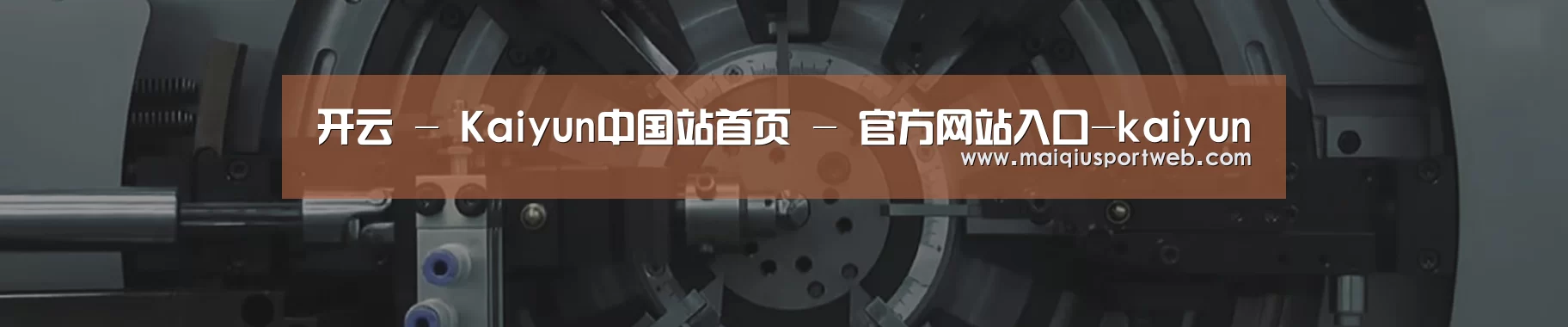 某某机械公司