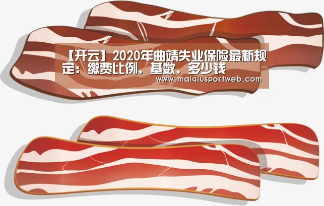 【开云】2020年曲靖失业保险最新规定:缴费比例、基数、多少钱(图4) 【开云】2020年曲靖失业保险最新规定:缴费比例、基数、多少钱(图4)
