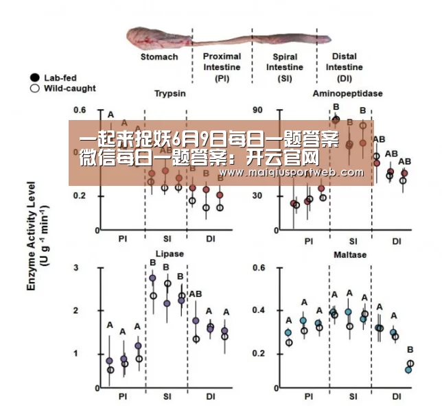 一起来捉妖6月9日每日一题答案 微信每日一题答案:开云官网(图1) 开云官网